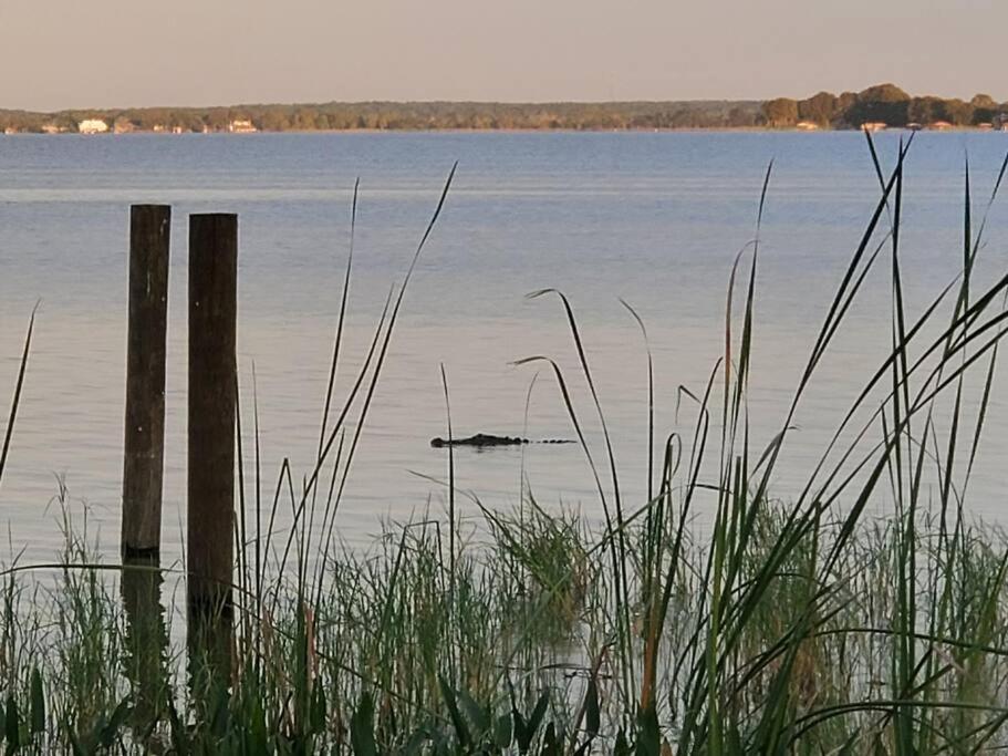Camp St. Cabanas Unit 2 On Lake Dora Tavares Luaran gambar